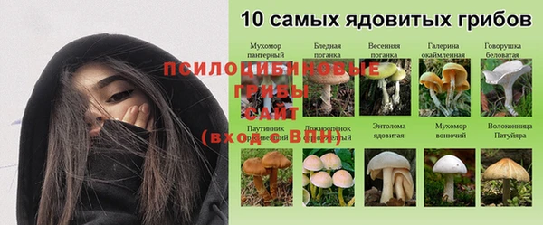 дурь Бугульма