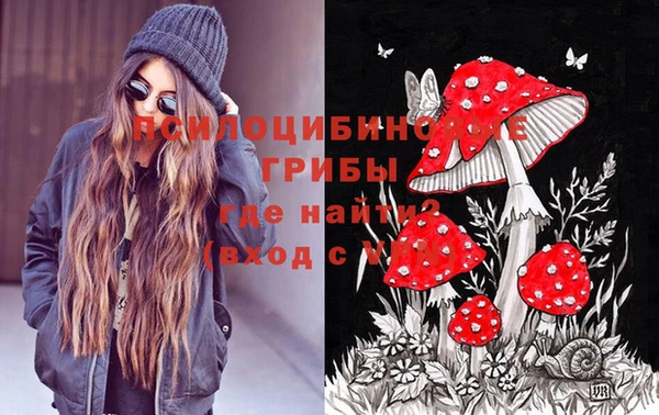 дурь Бугульма