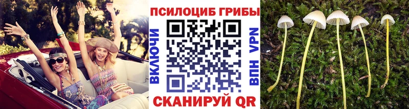 купить   Троицк  мориарти телеграм  Галлюциногенные грибы мухоморы 